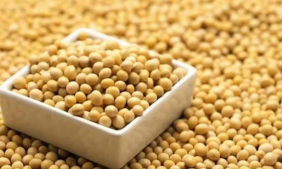 黄大豆行业市场深度调研 黄大豆行业发展前景投资分析