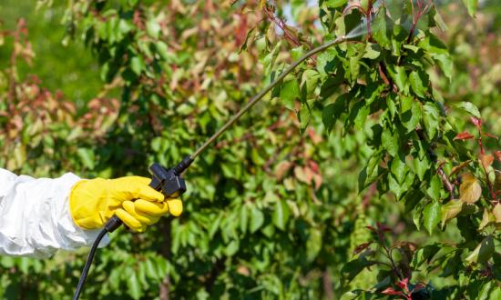复合氨基酸行业现状分析 2023复合氨基酸市场有多大