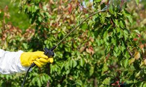 复合氨基酸行业现状分析 2023复合氨基酸市场有多大