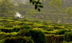 中国陵园墓地产业链发展现状 陵园墓地行业发展战略研究