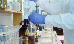 中国生物育种产业链发展模式与市场规模2023