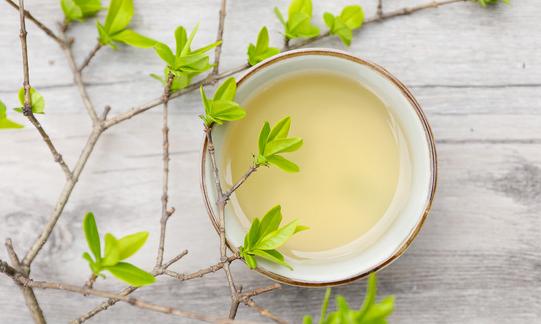 我国速溶茶产业现状与技术现状 速溶茶行业市场深度调研2023