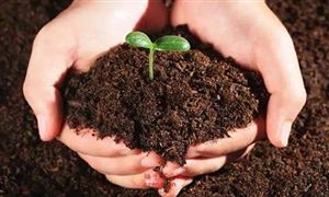 2022年全国肥料抽查合格率为87.6% 微生物肥料行业市场分析