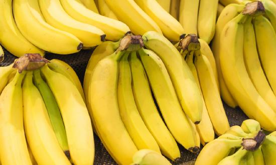 香蕉行业市场分析报告 香蕉行业供需情况及发展趋势分析2023