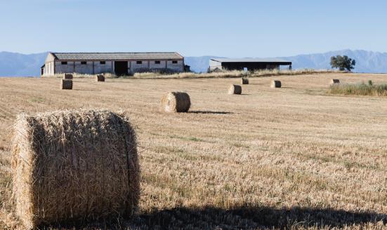 中国秸秆饲料行业竞争格局 秸秆饲料行业发展趋势预测