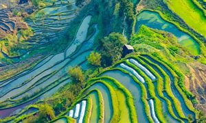 无人机产业发展现状 中国无人机行业市场规模研究