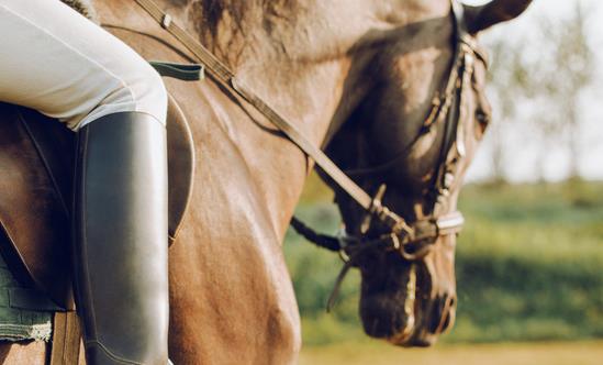 马术行业市场消费现状 马术俱乐部行业运营情况分析