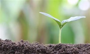 微生物肥行业发展环境 微生物肥市场需求分析及市场规模