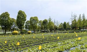 智慧农业行业市场竞争格局 智慧农业行业投资风险预测