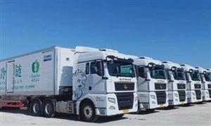 冷链物流未来发展趋势 冷链物流市场发展前景及市场供需