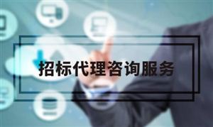 工程招标代理行业发展环境 工程招标代理行业发展机遇及发展方向
