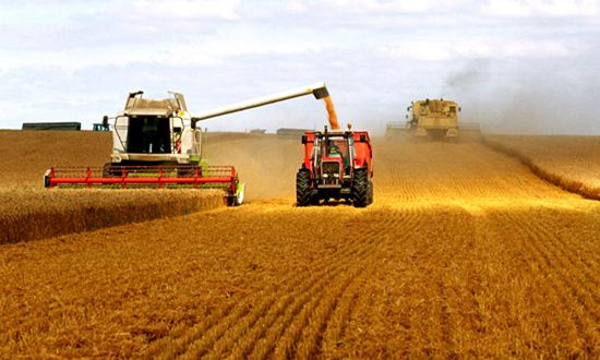 粮食贸易产业发展现状 粮食贸易产业市场前瞻