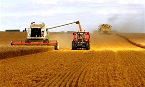 粮食贸易产业发展现状 粮食贸易产业市场前瞻