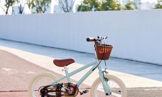 2023儿童单车行业市场深度调研及投资策略预测