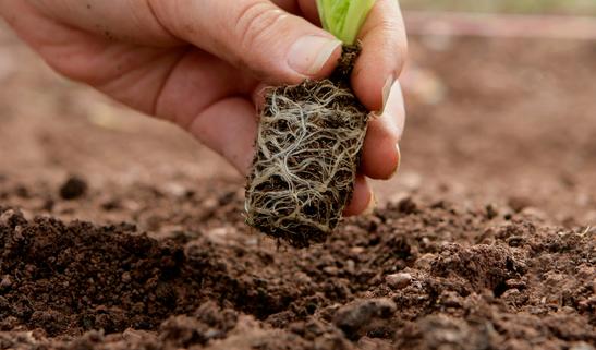 2023有机复合肥产业发展趋势预测 企业产能建设将逐步扩大