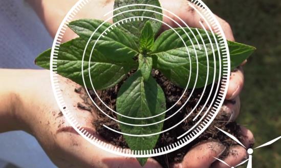 农业大数据中心及数字农业项目产业需求分析 农业大数据中心及数字农业项目发展前景研究