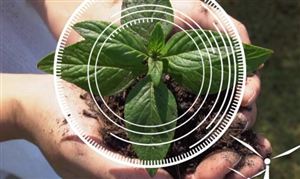 农业大数据中心及数字农业项目产业需求分析 农业大数据中心及数字农业项目发展前景研究