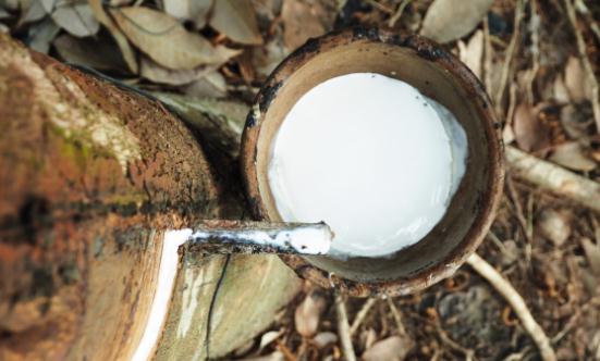 橡胶助剂行业发展趋势及行业调研分析2023