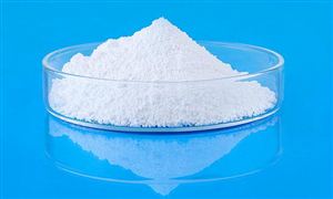 2023氯碱行业市场调查分析与发展趋势预测研究报告