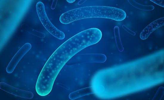 行业调研分析 发酵菌种行业发展现状分析