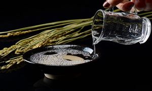 浓香型白酒行业市场消费分析 浓香型白酒行业未来发展趋势2023