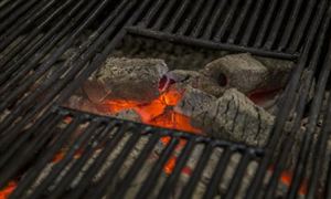 木炭行业现状及发展前景分析2023