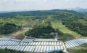 什么是乡村旅游?乡村旅游行业现状及发展前景分析2023