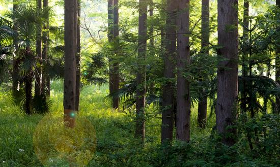 环保药剂材料市场投资前景 环保药剂材料市场供需格局研究