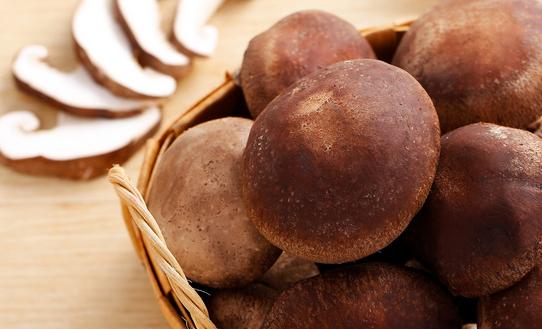 2023蘑菇养殖行业市场深度分析 行业发展前景十分广阔