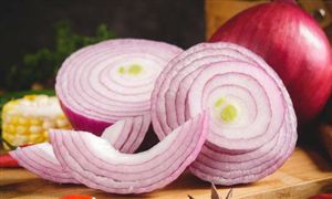 洋葱行业市场深度调研分析 洋葱行业进出口市场情况