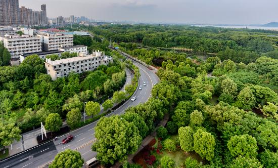 中国城市园林景观设计技术及手法分析