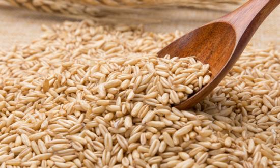 黄大豆行业分析 2023黄大豆发展前景与需求预测分析