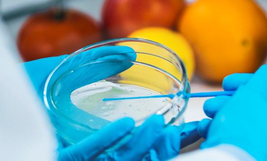 2023微生物检测行业市场深度分析及投资战略分析