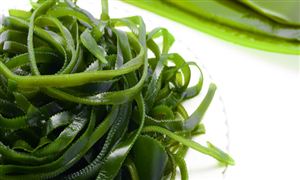 海带行业发展现状分析 海带行业市场调研分析2023