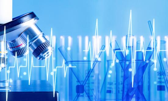 海洋生物技术行业报告 2023海洋生物技术市场深度分析