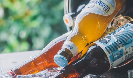 2023无醇啤酒行业市场全景调研与发展前景预测