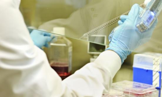 微生物检测行业发展分析 微生物检测市场需求发展前景