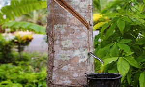 橡胶油行业市场供需格局 环保型橡胶油市场发展前景广阔