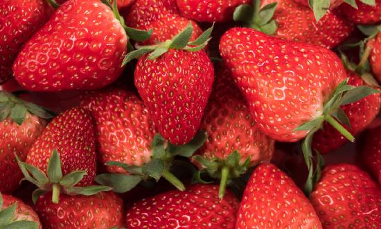 草莓栽培行业市场深度分析及未来发展趋势预测2023