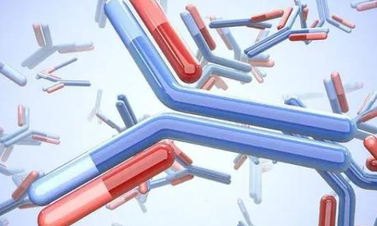 单克隆抗体行业市场规模 单克隆抗体行业发展前景及市场格局分析