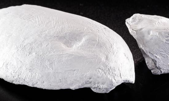 硅酸材料市场需求 2023硅酸材料行业发展潜力及现状分析