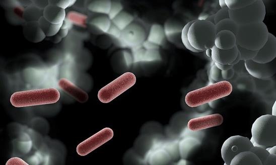 全球及中国单细胞测序行业应用现状 全球及中国单细胞测序行业投资前景分析