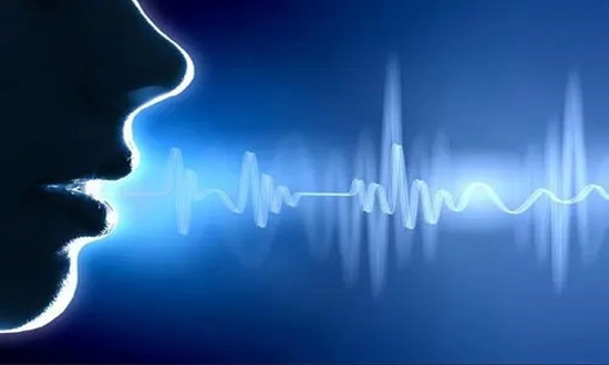 语言识别行业发展前景 语言识别行业市场规模预测2023