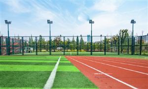 体育赛事行业现状调研及发展潜力分析2023