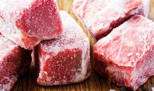 中国冷冻肉行业深度分析及发展前景预测报告