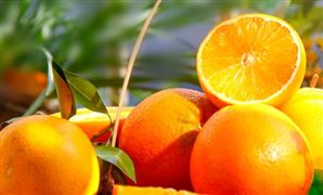 维生素行业市场需求 2023维生素行业价格走势分析