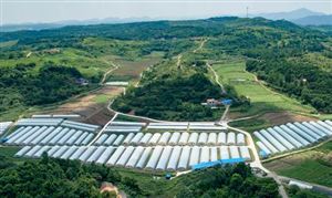 高效农业产量如何?2023中国高效农业行业市场需求分析