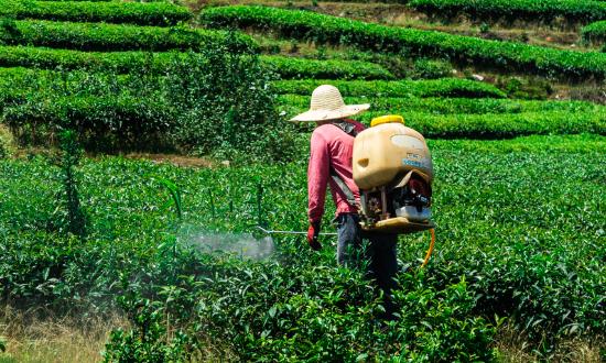 2023环保农药行业深度分析 环保农药市场现状