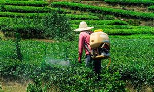 2023环保农药行业深度分析 环保农药市场现状