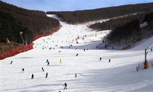 冰雪运动倍受追捧 培育冰雪装备制造产业